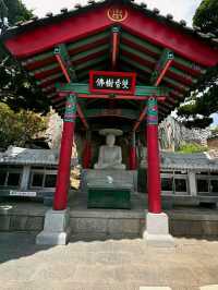 Busan: Ocean Breeze, Mountain Calm, and a Dash of City Pulse