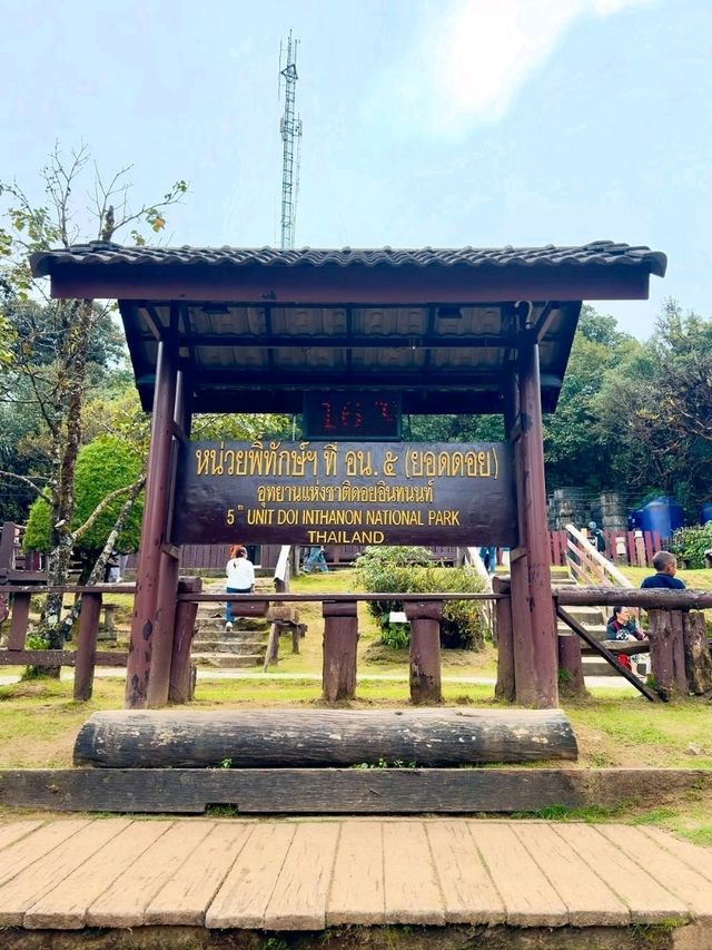 Chiang Mai’s Springtime Paradise