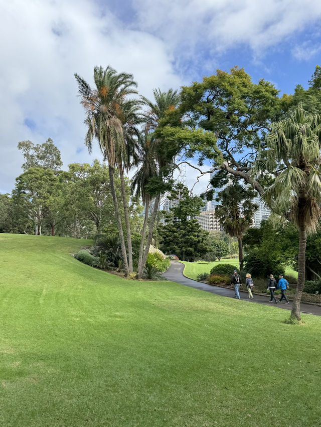 시드니의 최고의 공원🏞️🌴🌳