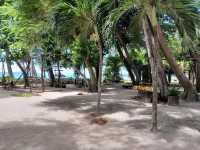 สวนพฤกษศาสตร์บ้านเพ
