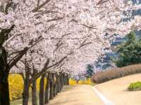Soul of Seoul: Futuristic Buzz Meets Timeless Korean Culture