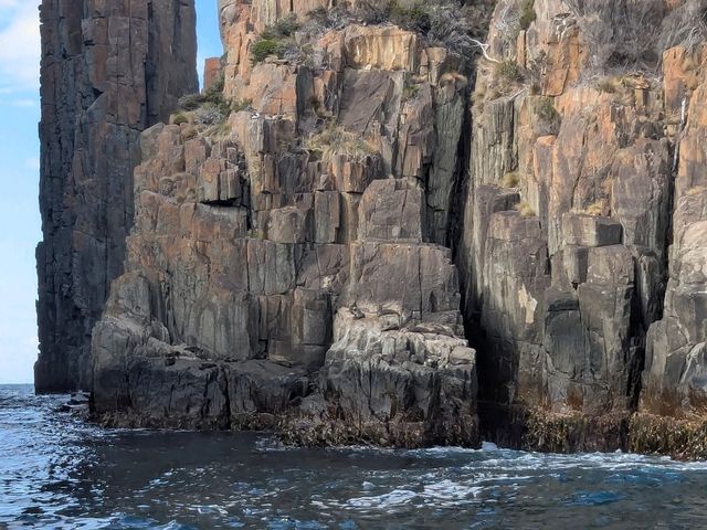 Towering cliffs and slumbering seals