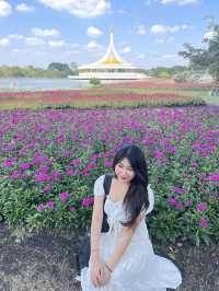 สวนหลวง ร.9 ฟิลดี ดอกไม้สวย!