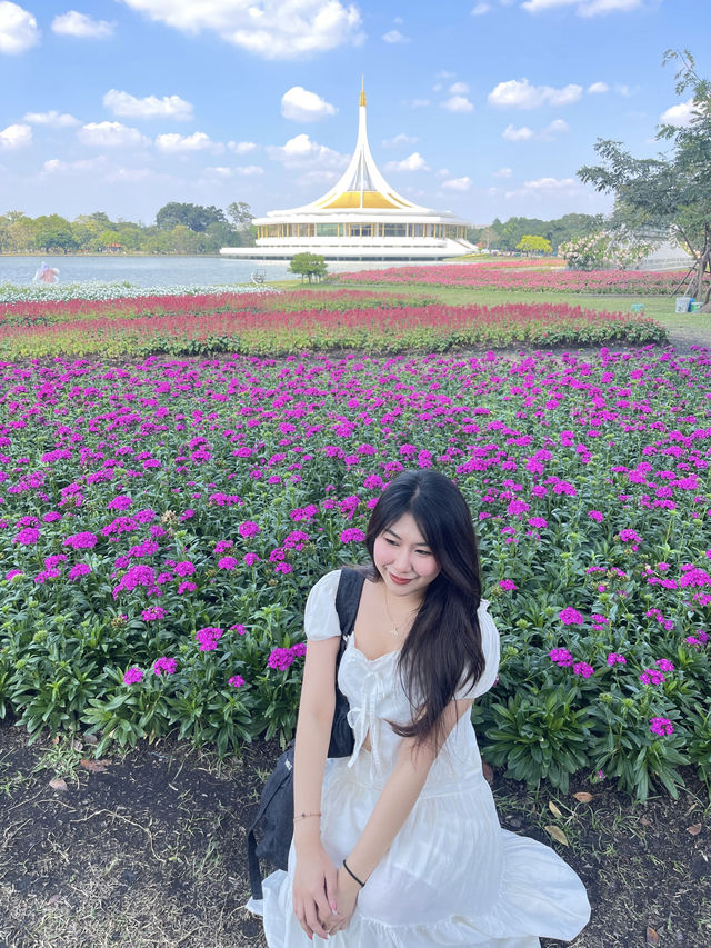 สวนหลวง ร.9 ฟิลดี ดอกไม้สวย!