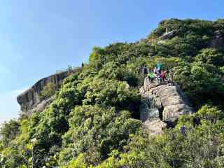 2026年 ライオン ロック（獅子山）森おすすめ| Trip Moments