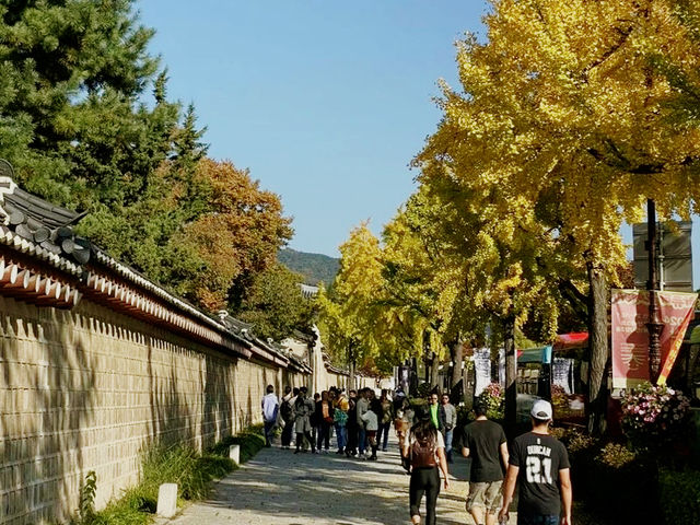 韓國🇰🇷德壽宮