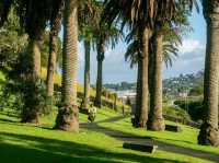 Auckland – The City of Sails and Stunning Views