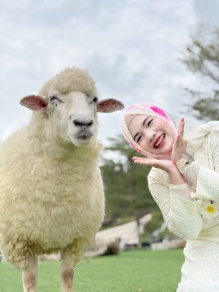 툰쏭 양 농장 - 나콘시탐마랏