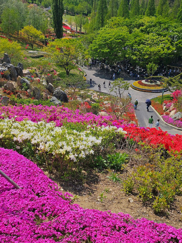 💕마음까지 환해지는 곳 아산 피나클랜드🌷🍃