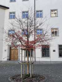 My Visit to the Abbey of St. Gall**  