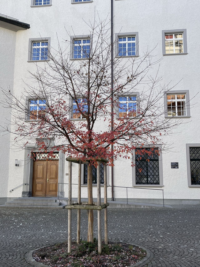 My Visit to the Abbey of St. Gall**  