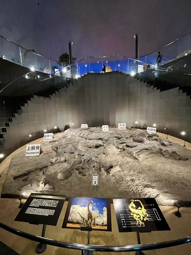 A Slow Day in Fukui – Dinosaurs, Temples & Sweet Treats