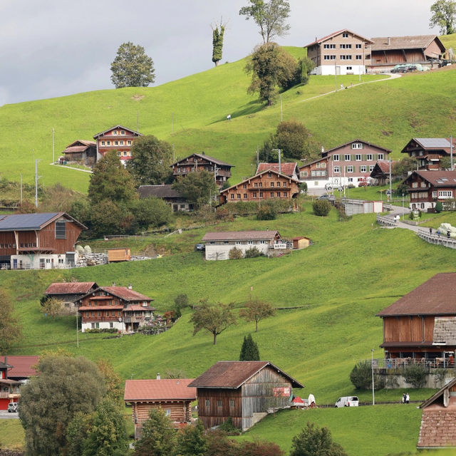 瑞士🇨🇭格林德瓦|童話里夢幻山坡🌲 