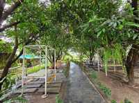 บ้านตากะยาย Cafe’ 