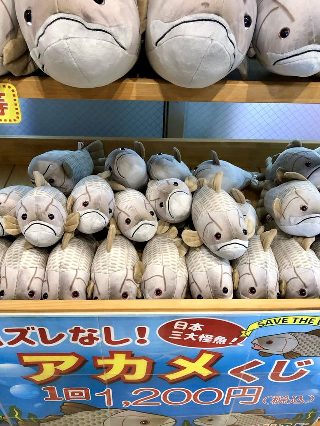 A Relaxed Day by the Sea – Exploring Katsurahama