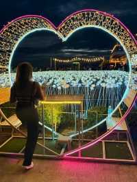 Lit with Love: Discover Cebu’s 10,000 Roses