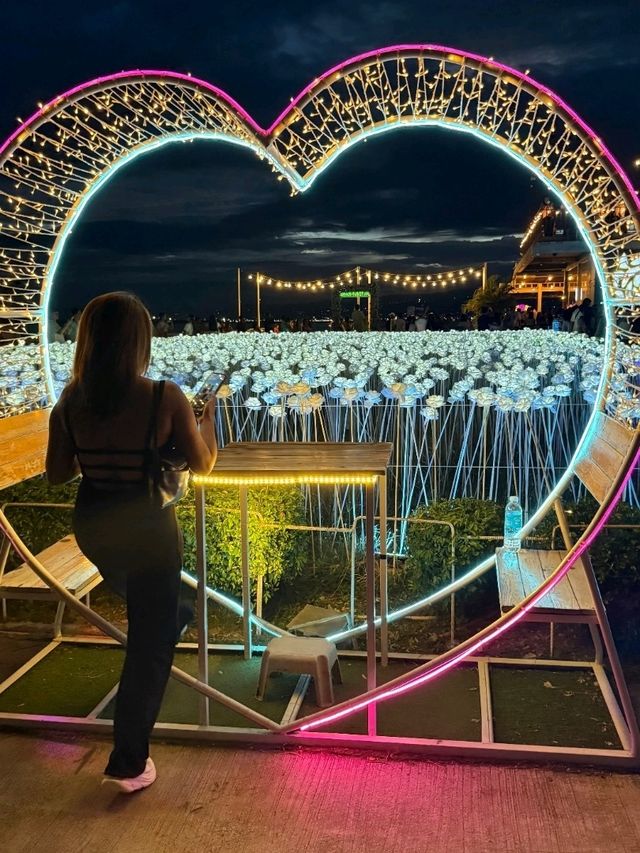 Lit with Love: Discover Cebu’s 10,000 Roses
