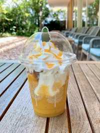 A Gentle Day in Yamashina – Temples, Trails & Tea
