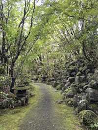 【大分県・日田】九州最高峰の口コミ評価の山荘天水