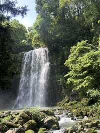 【大分県・日田】して行ける秘境の滝・第一位　桜滝