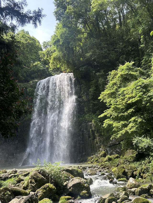 【大分県・日田】して行ける秘境の滝・第一位　桜滝