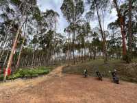 Panbil Nature Reserve: A Thrilling Jungle Workout with Stunning Rewards