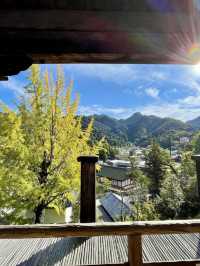 Sky-High Stroll in Miyajima