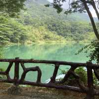 增城白水寨+萬果小鎮：飛瀑流泉間的節氣漫遊