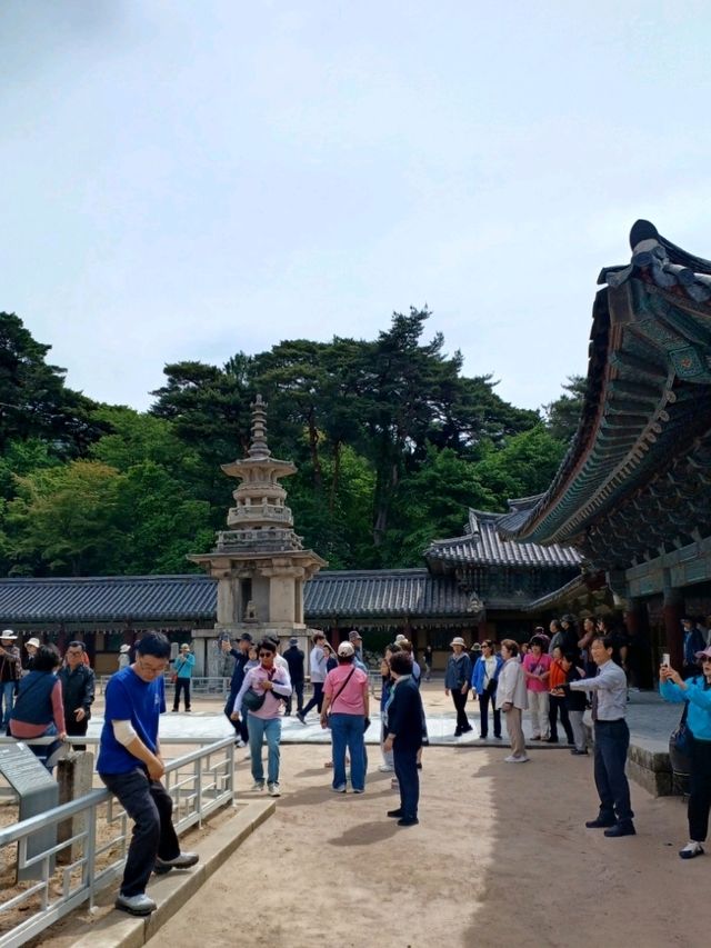 천년의 세월을 품은 시간 여행, 불국사