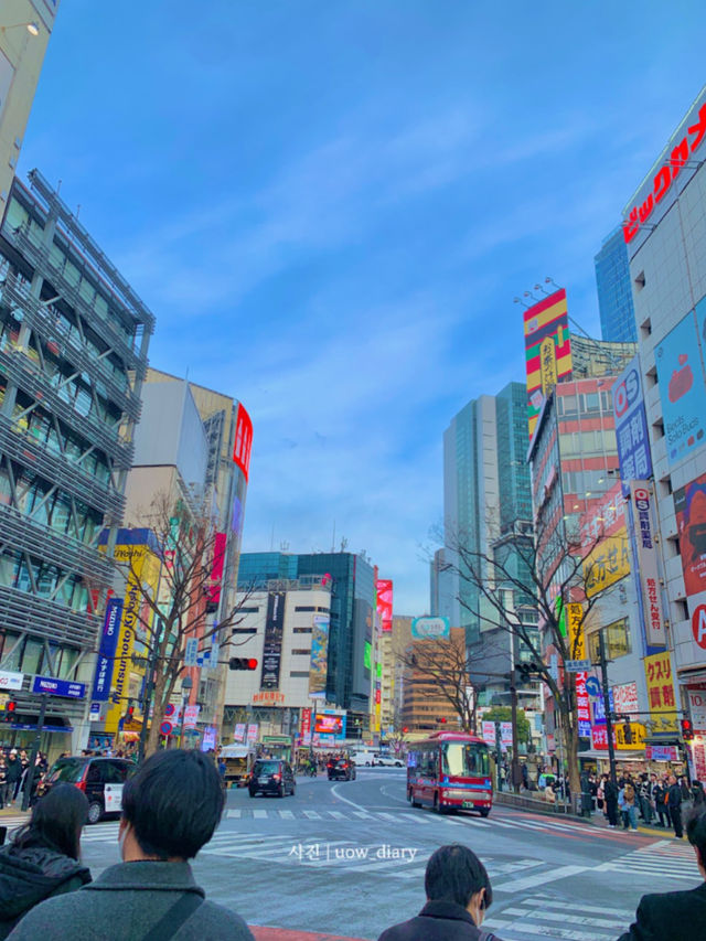 언제가도 설레는 도쿄여행 🗼✨🎡