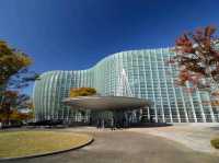 The National Art Center, Tokyo – Where Art is Always in Motion