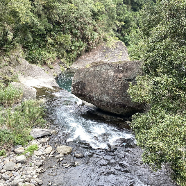 桃園一日輕旅行｜小烏來天空步道＆森林瀑布散步路線 🌲💧