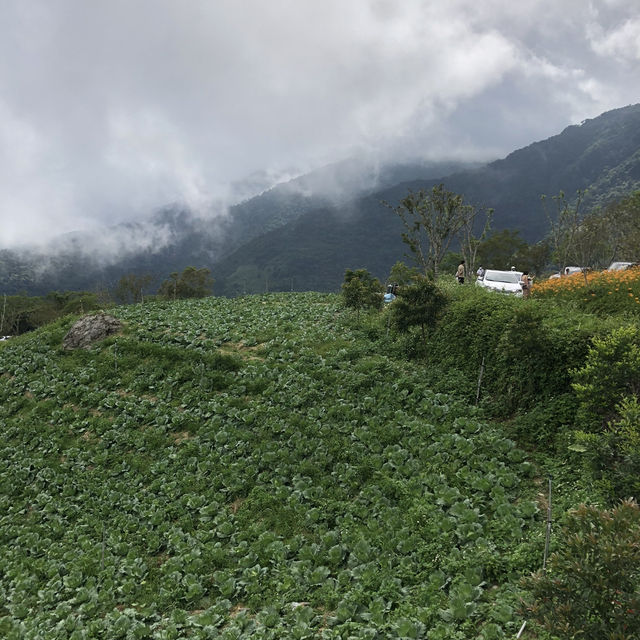 台東太麻里