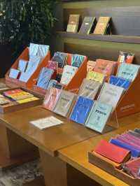 📚 서점 속 아늑한 쉼터, 골드토드 (휘게문고점)