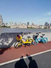 Top 3 Scenic Spots in Shanghai - Pedal or Walk through the charm of Shanghai . 