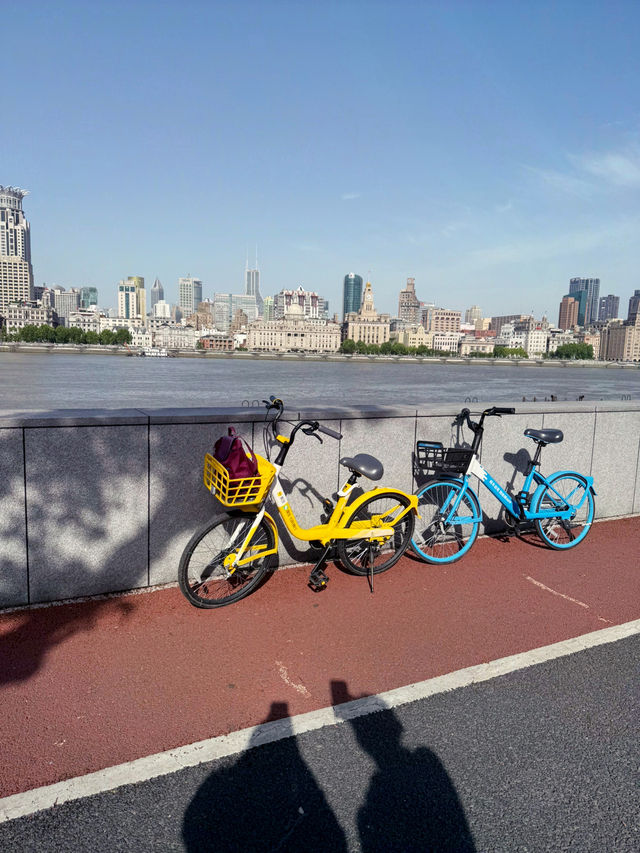 Top 3 Scenic Spots in Shanghai - Pedal or Walk through the charm of Shanghai . 