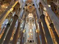 【Basílica de la Sagrada Família｜サグラダ・ファミリア 🇪🇸】 