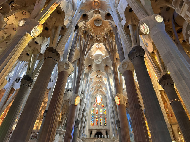 【Basílica de la Sagrada Família｜サグラダ・ファミリア 🇪🇸】 