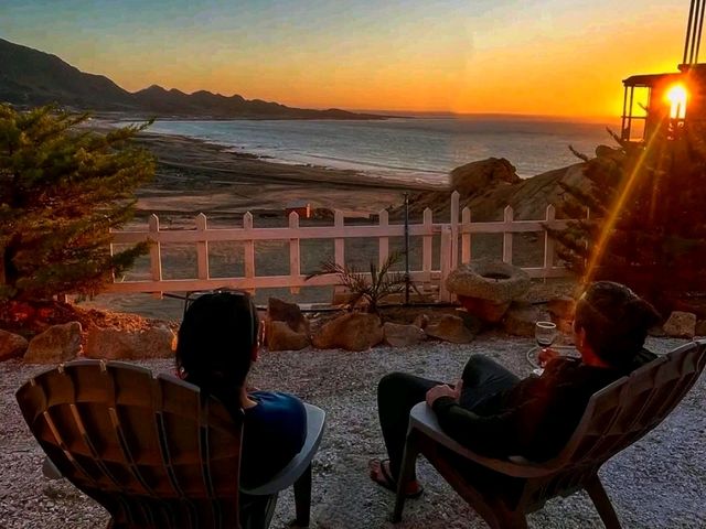 Pan de Azúcar National Park – Chile’s Desert Meets the Ocean