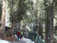 Heaven on Earth—Banff, Canada