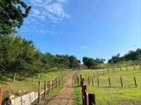 Exploring Gyeyangsanseong Fortress