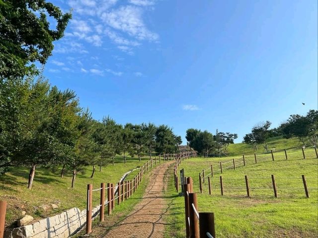 Exploring Gyeyangsanseong Fortress