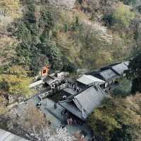 Otowa Waterfall in 2026
