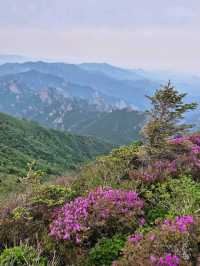 Pain, Glory & Sky-High Feels at Daecheongbong