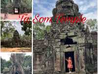 Temple Run 🇰🇭