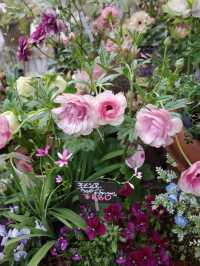 🌼【青山 COUNTRY HARVEST】草花の物語を感じる、大人の花屋さん体験🌿