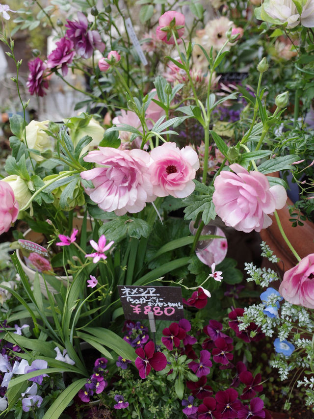 🌼【青山 COUNTRY HARVEST】草花の物語を感じる、大人の花屋さん体験🌿