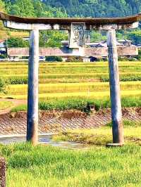 ฮาราจิริฟอลส์ ไนแองการาของญี่ปุ่น