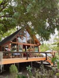 🍃 คาเฟ่ลับริมน้ำตก บางพระ ศรีราชา 🌿 