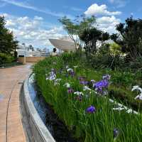 Forget Shinsaibashi, Umeda, or Namba Parks! Osaka's Best Spot to Explore? This Hidden Gem! ✨